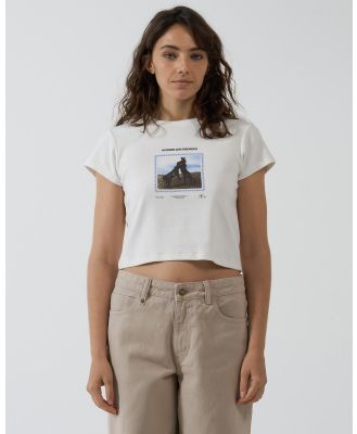 Thrills - In Order And Disorder Mini Tee - Cropped tops (Powder) In Order And Disorder Mini Tee