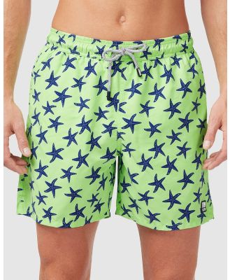 Tom & Teddy - Starfish Boardshorts - Swimwear (Green & Blue) Starfish Boardshorts
