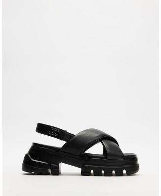 Tommy Jeans - TJW Chunky City Sandals   Women's - Sandals (Black) TJW Chunky City Sandals - Women's