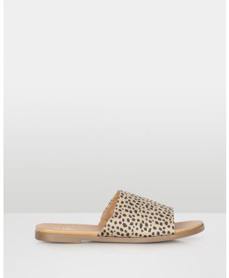 Vybe - Porta - Casual Shoes (Leopard) Porta