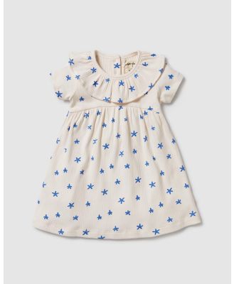 Wilson & Frenchy - Organic Rib Ruffle Dress   Babies - Printed Dresses (Little Starfish) Organic Rib Ruffle Dress - Babies