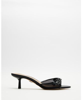 Windsor Smith - Prettier Heels - Mid-low heels (Black & Black Mesh) Prettier Heels