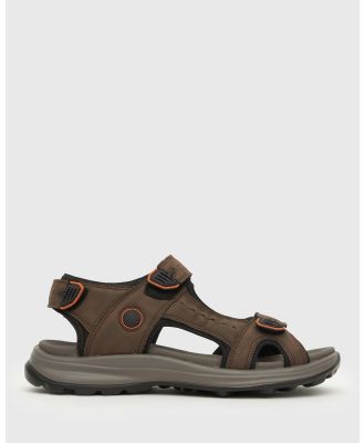 Zeroe - Donnie Casual Sports Sandal - Casual Shoes (Brown) Donnie Casual Sports Sandal