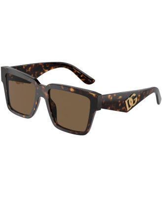Dolce & Gabbana Sunglasses DG4436 502/73