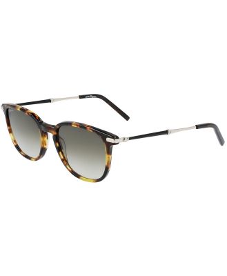 Salvatore Ferragamo Sunglasses SF 1015S 219