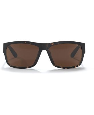 ULLER Sunglasses Alpine Dark Havana UL-S17-02